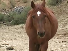 Renee likes to have sex with guys because her tight ass always needs some stimulation